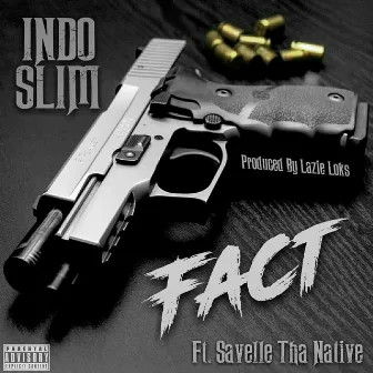 Fact by Indo Slim