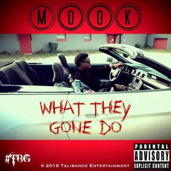 What They Gone Do by Mook TBG