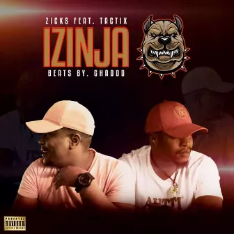 Izinja by Zicks