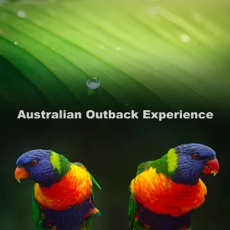 Australian Outback Experience by Australian Nature Sounds