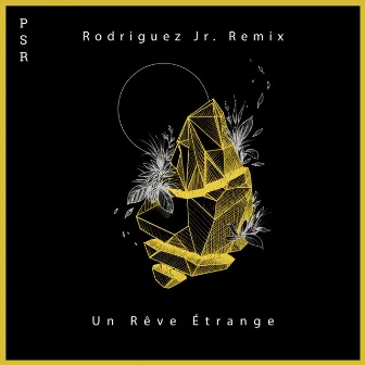 Un Rêve Étrange (Rodriguez Jr. Remix) by Seth Schwarz