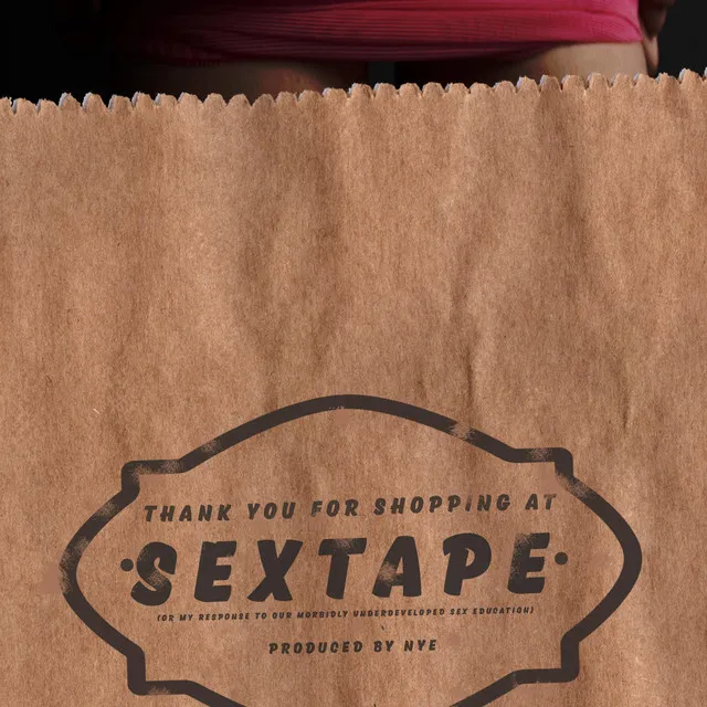 Sextape (Or My Response to Our Morbidly Underdeveloped Sex Education)