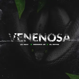 Venenosa by Mendez Jr