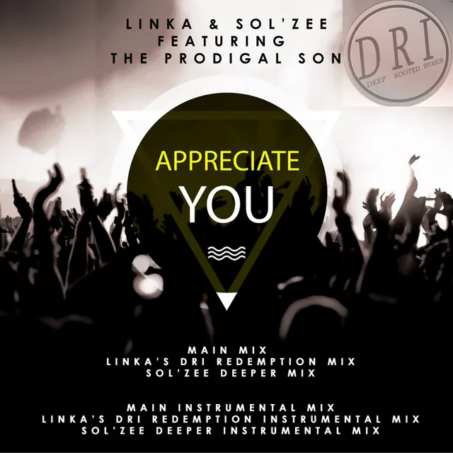 Appreciate You - Sol'zee Deeper Instrumental Mix