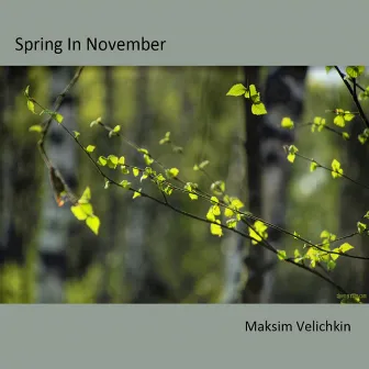 Spring in November by Maksim Velichkin