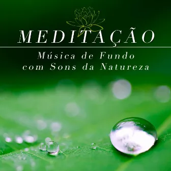 Meditação - Música de Fundo com Sons da Natureza by Underwater Sounds Specialists