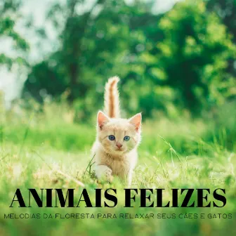 Animais Felizes: Melodias Da Floresta Para Relaxar Seus Cães E Gatos by 1 Hora de Meditação