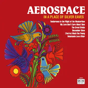 In a Place of Silver Eaves by Aerospace