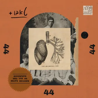 44 by Taboo Plus