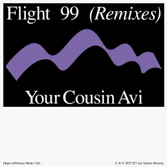 Flight 99 (Your Cousin Avi Remix) by Please Wait