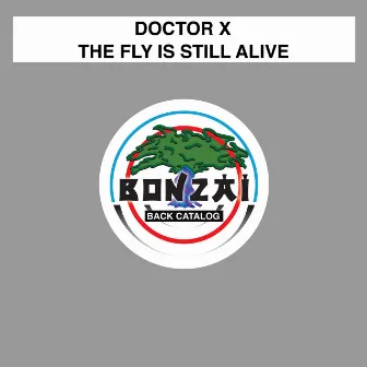 The Fly Is Still Alive by Doctor X