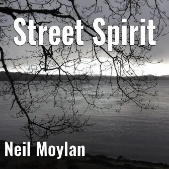 Street Spirit by Neil Moylan