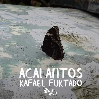 Acalantos by Fuca