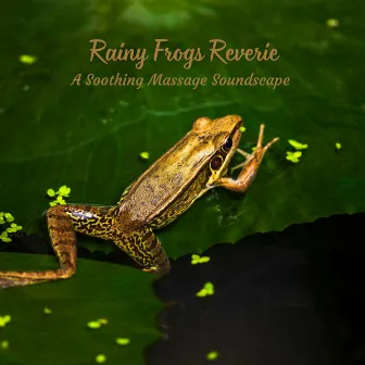 Rainy Frogs Reverie: A Soothing Massage Soundscape by Rain Storm Sounds