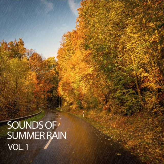 Sounds Of Summer Rain Vol. 1