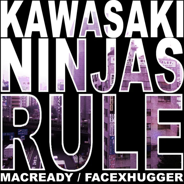 Kawasaki Ninjas Rule