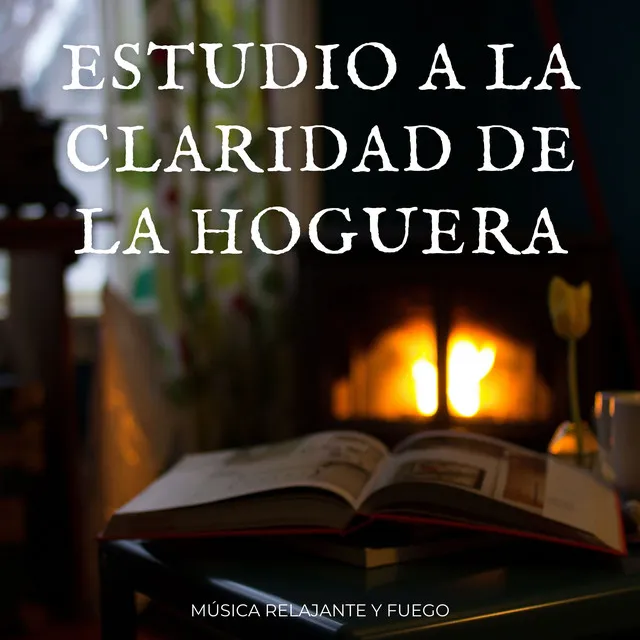 Estudio A La Claridad De La Hoguera: Música Relajante Y Fuego