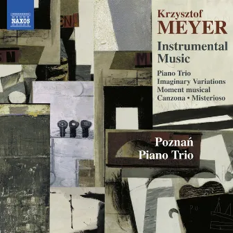 Meyer: Instrumental Music by Krzysztof Meyer