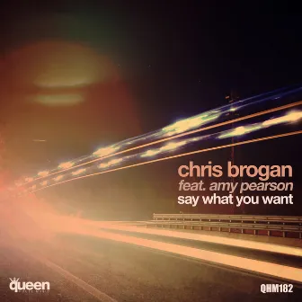 Say What You Want by Chris Brogan