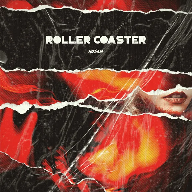 Roller Coaster