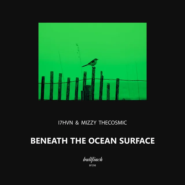 Beneath the Ocean Surface