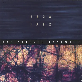 Raga Jazz by Ray Spiegel