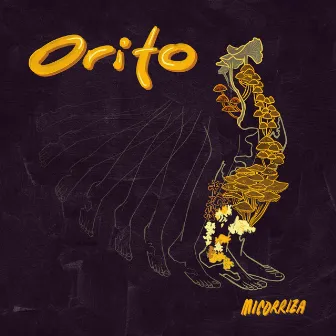 Orito by Micorriza