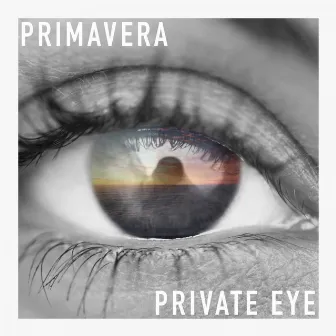 Private Eye by Unknown Artist