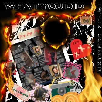 What You Did by NaToree Zelai