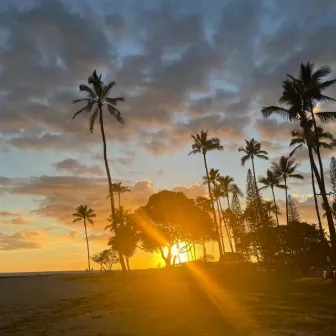 Golden Hour by Lucy Dorado