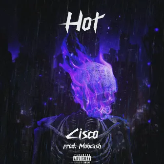 Hot by Cisco Bks