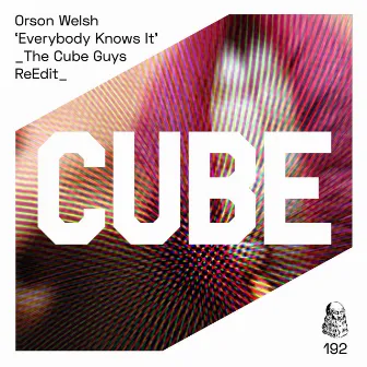 Everybody Knows It (The Cube Guys Reedit) by Orson Welsh