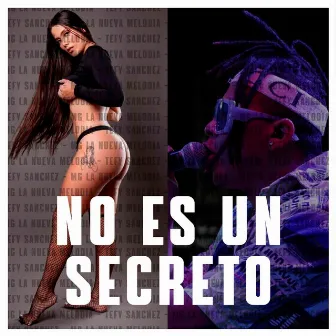 No Es Un Secreto by Tefy Sánchez