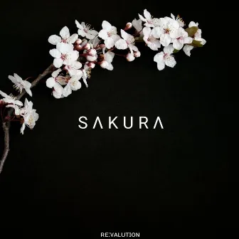 Sakura by Re:Valution