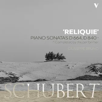 Schubert: Piano Sonata No. 13, D. 664 & No. 15, D. 840 