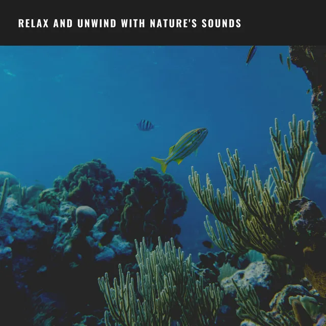 Soothing Ocean Waves: Relax and Unwind with Nature's Sounds