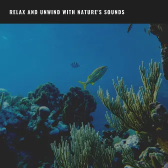 Soothing Ocean Waves: Relax and Unwind with Nature's Sounds by Ocean Sound Machine