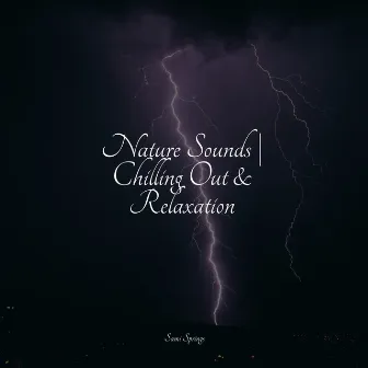 Nature Sounds | Chilling Out & Relaxation by Calming Waves