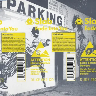 Fade Into You CD by Slab