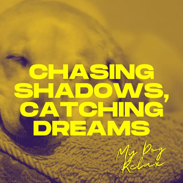 Chasing Shadows, Catching Dreams