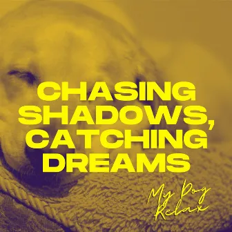 Chasing Shadows, Catching Dreams by My Dog Relax