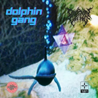 Dolphin Gang Instrumentals, Vol. 2 by Taavi