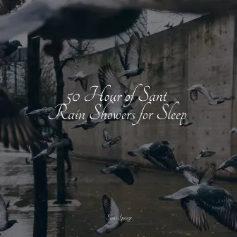 50 Hour of Sant Rain Showers for Sleep by Sleep Waves