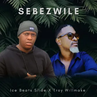 Sebezwile by Troy willmake