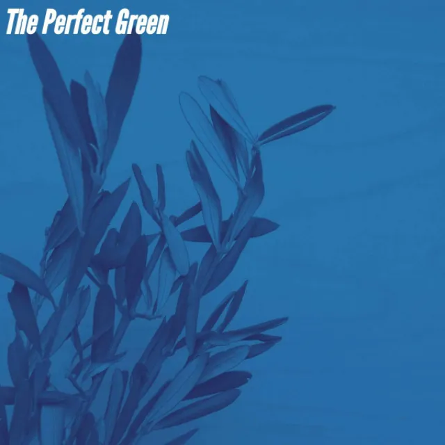 The Perfect Green