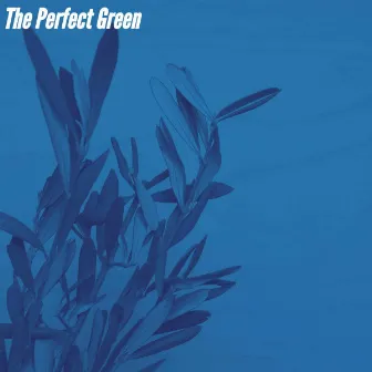 The Perfect Green by Unknown Artist