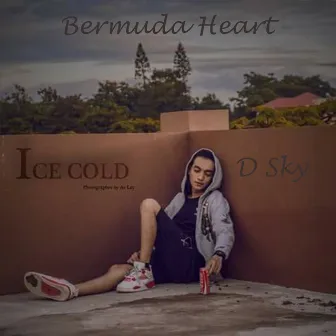 Bermuda Heart by Ice9