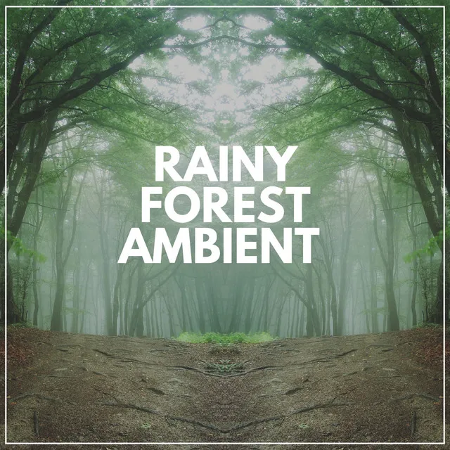 Rainy Forest Ambient