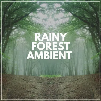 Rainy Forest Ambient by Florida Nature