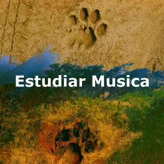 Estudiar Musica by Naturesque